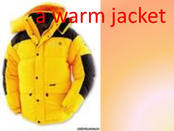 a warm jacket