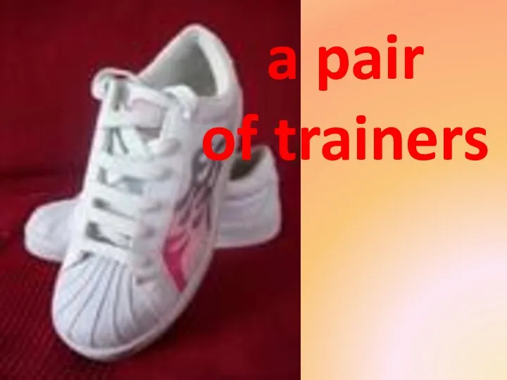 a pair of trainers