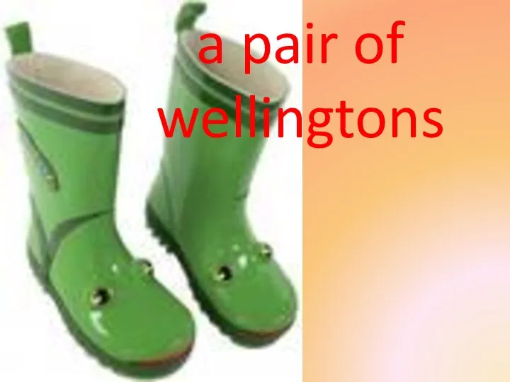 a pair of wellingtons
