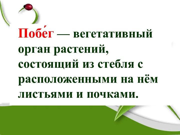 Побе́г — вегетативный орган растений, состоящий из стебля с расположенными на нём листьями и почками.