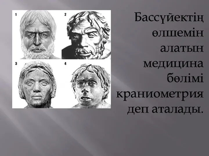 Бассүйектің өлшемін алатын медицина бөлімі краниометрия деп аталады.