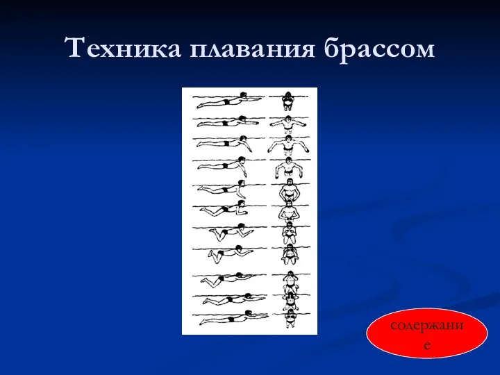 Техника плавания брассом содержание