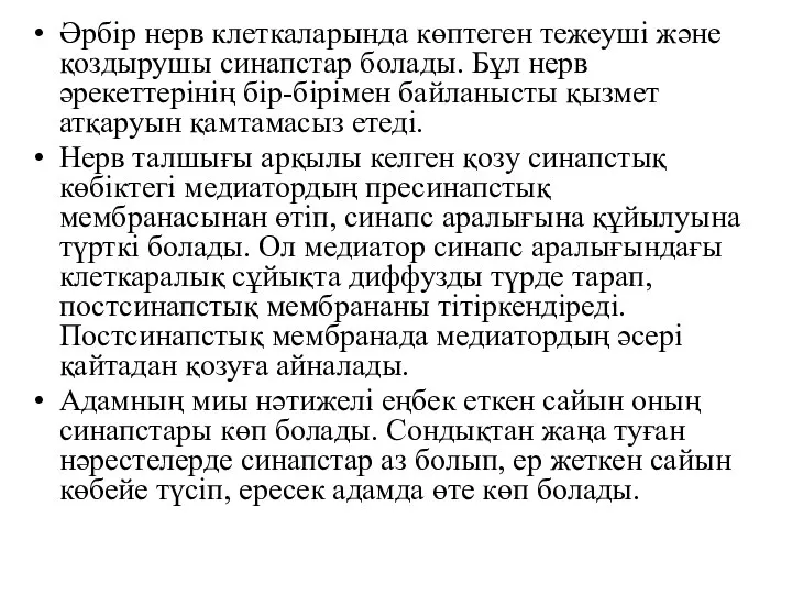 Әрбір нерв клеткаларында көптеген тежеуші және қоздырушы синапстар болады. Бұл нерв әрекеттерінің