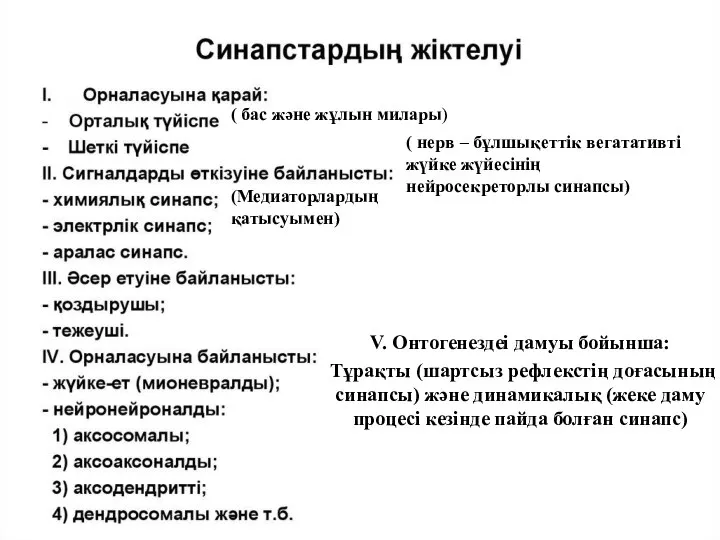 ( бас және жұлын милары) ( нерв – бұлшықеттік вегатативті жүйке жүйесінің