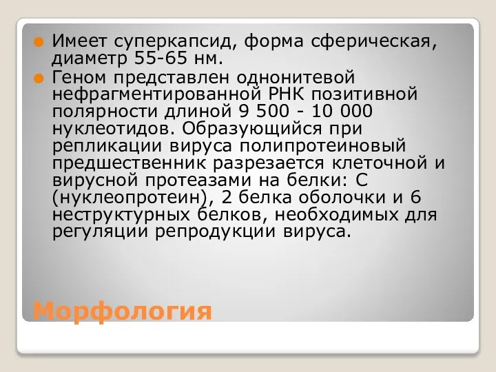 Морфология Имеет суперкапсид, форма сферическая, диаметр 55-65 нм. Геном представлен однонитевой нефрагментированной