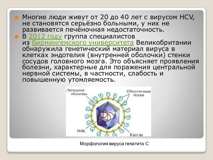 Многие люди живут от 20 до 40 лет с вирусом HCV, не