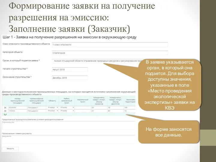 Формирование заявки на получение разрешения на эмиссию: Заполнение заявки (Заказчик) На форме