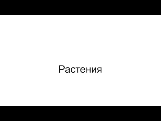 Растения