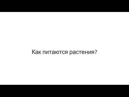 Как питаются растения?