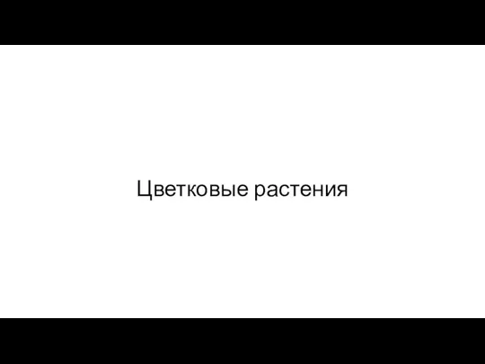 Цветковые растения