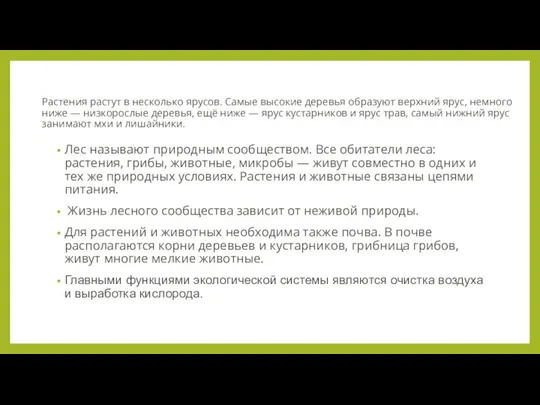 Растения растут в несколько ярусов. Самые высокие деревья образуют верхний ярус, немного