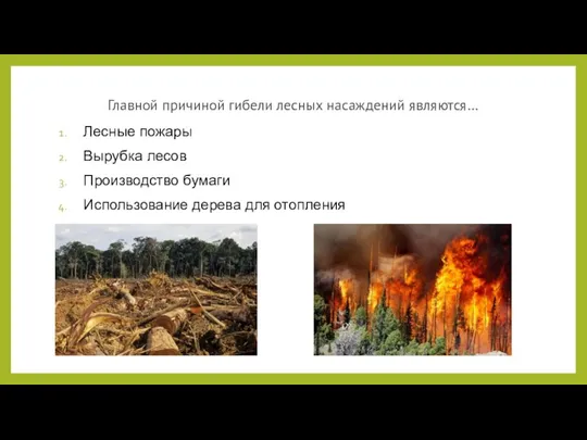 Лесные пожары Вырубка лесов Производство бумаги Использование дерева для отопления Главной причиной гибели лесных насаждений являются…