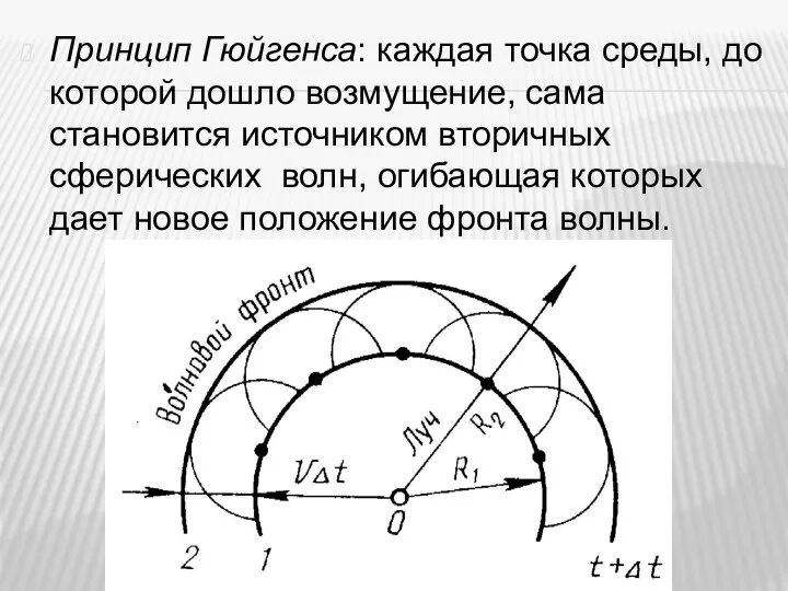 Принцип Гюйгенса: каждая точка среды, до которой дошло возмущение, сама становится источником