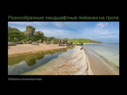 Разнообразные ландшафтные пейзажи на тропе Побережье Азовского моря