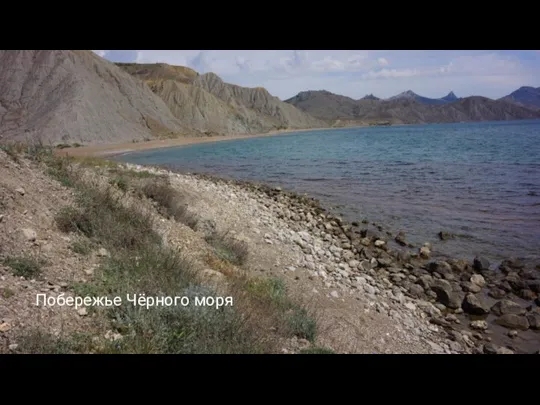 Побережье Чёрного моря