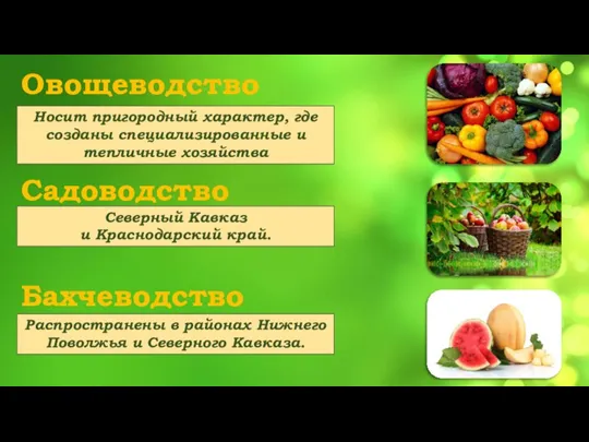 Овощеводство Садоводство Бахчеводство Носит пригородный характер, где созданы специализированные и тепличные хозяйства