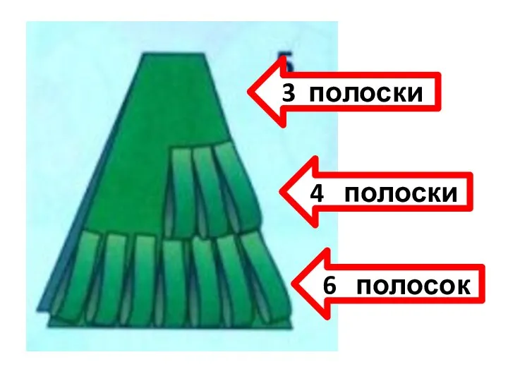 6 полосок 4 полоски 3 полоски