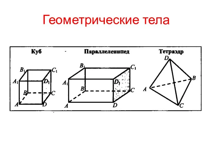 Геометрические тела