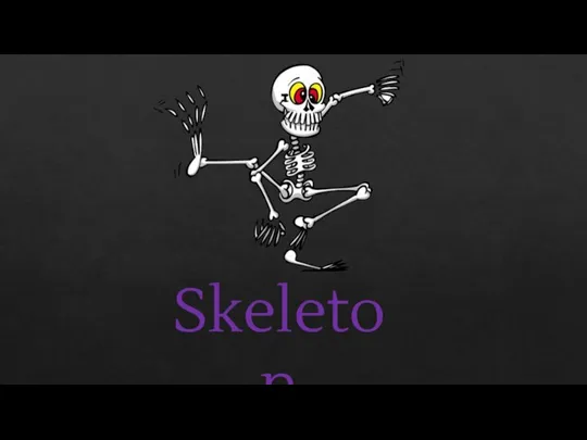 Skeleton