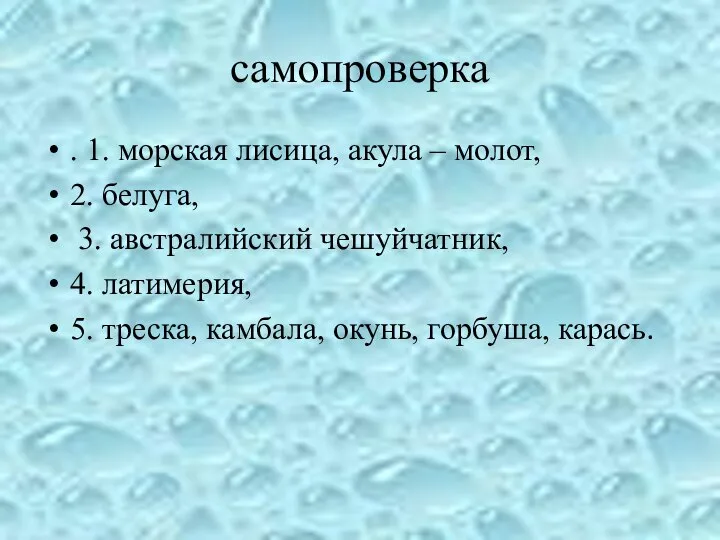 самопроверка . 1. морская лисица, акула – молот, 2. белуга, 3. австралийский