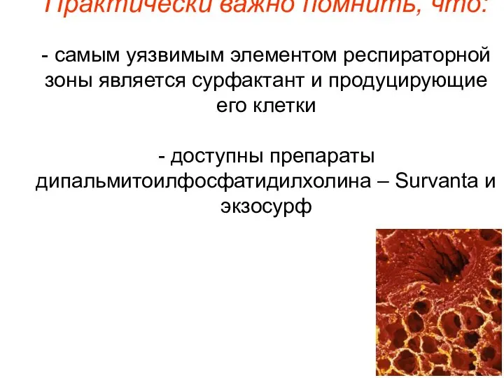 Практически важно помнить, что: - самым уязвимым элементом респираторной зоны является сурфактант