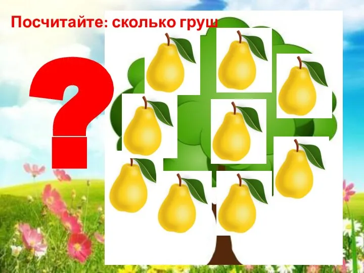 ? Посчитайте: сколько груш