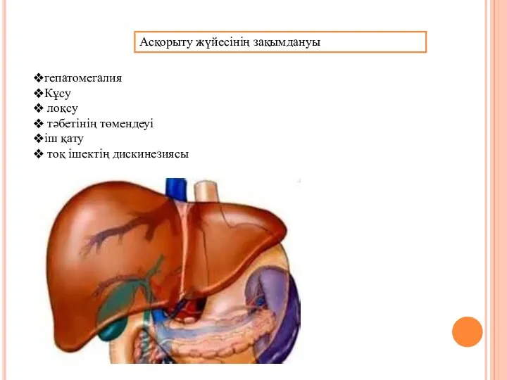 Асқорыту жүйесінің зақымдануы гепатомегалия Кұсу лоқсу тәбетінің төмендеуі іш қату тоқ ішектің дискинезиясы