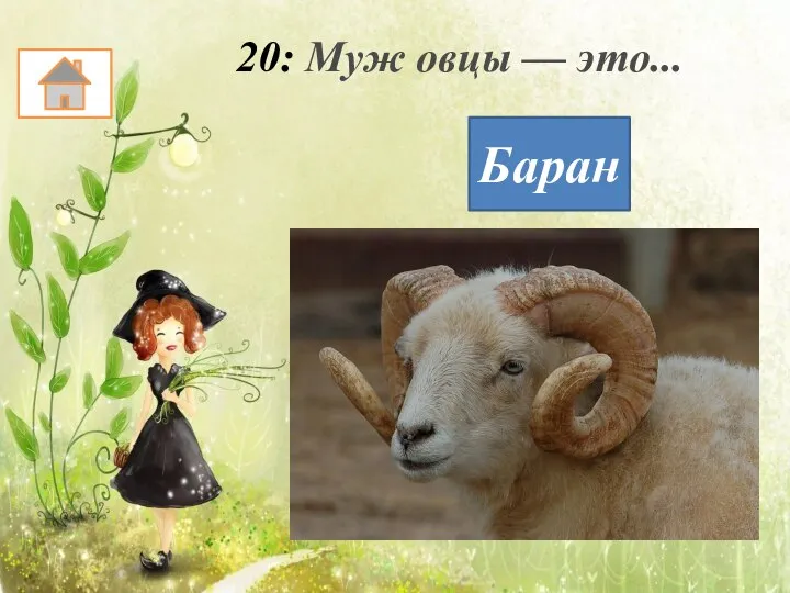 20: Муж овцы — это... Баран