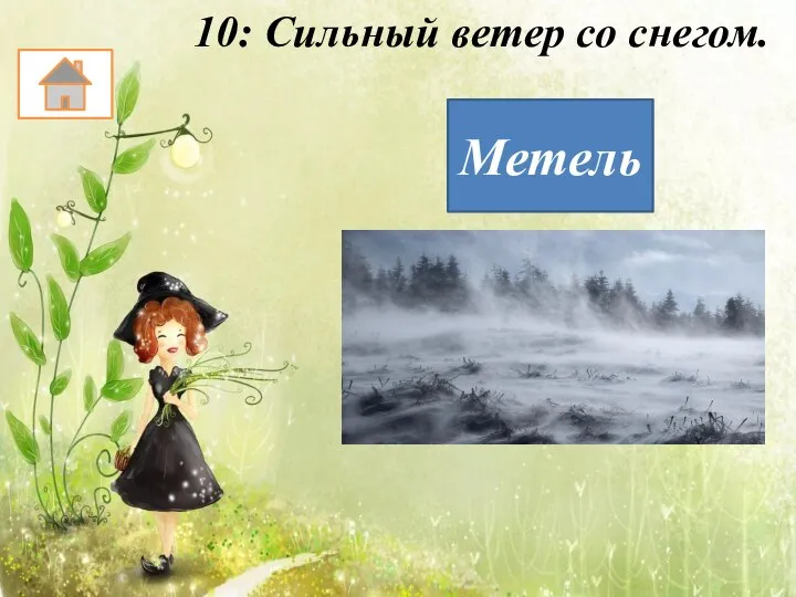 10: Сильный ветер со снегом. Метель