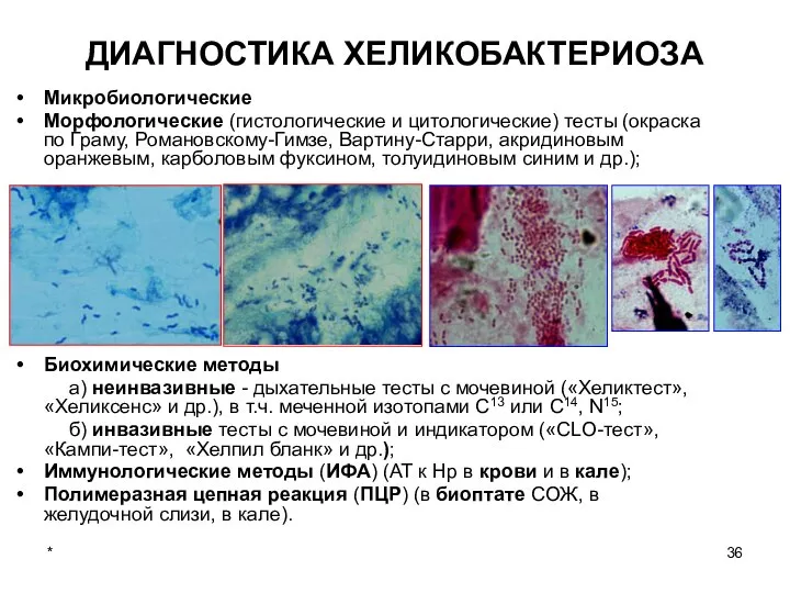 * ДИАГНОСТИКА ХЕЛИКОБАКТЕРИОЗА Микробиологические Морфологические (гистологические и цитологические) тесты (окраска по Граму,