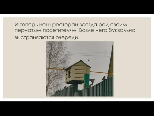 И теперь наш ресторан всегда рад своим пернатым посетителям. Возле него буквально выстраиваются очереди.