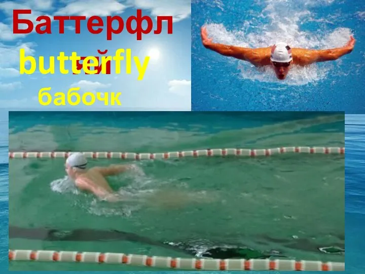 Баттерфляй butterfly бабочка