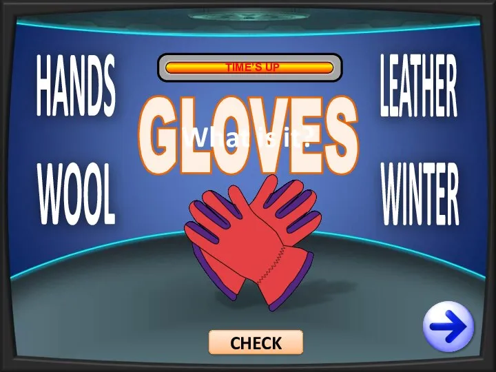 HANDS WOOL LEATHER WINTER TIME’S UP GLOVES CHECK What is it?