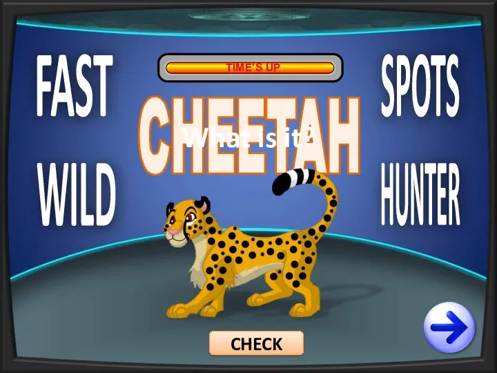 FAST WILD SPOTS HUNTER TIME’S UP CHEETAH CHECK What is it?