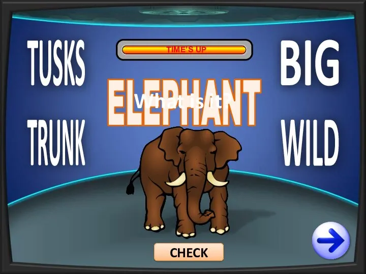 TUSKS TRUNK BIG WILD TIME’S UP ELEPHANT CHECK What is it?