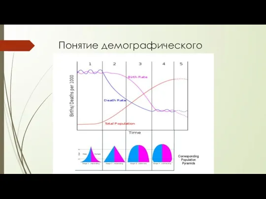 Понятие демографического перехода