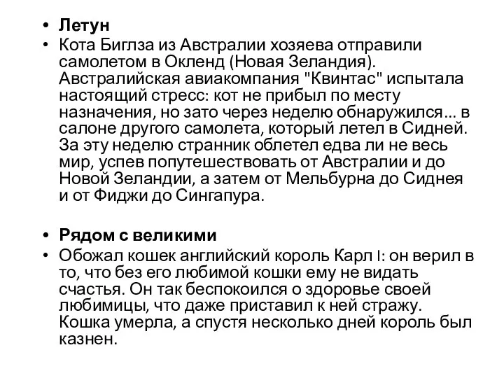 Летун Кота Биглза из Австралии хозяева отправили самолетом в Окленд (Новая Зеландия).