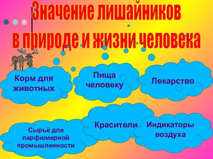 Значение лишайников в природе и жизни человека Корм для животных Пища человеку