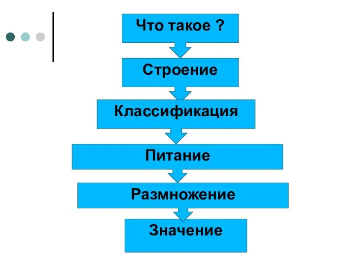 Что такое ? Строение Классификация Питание Значение Размножение