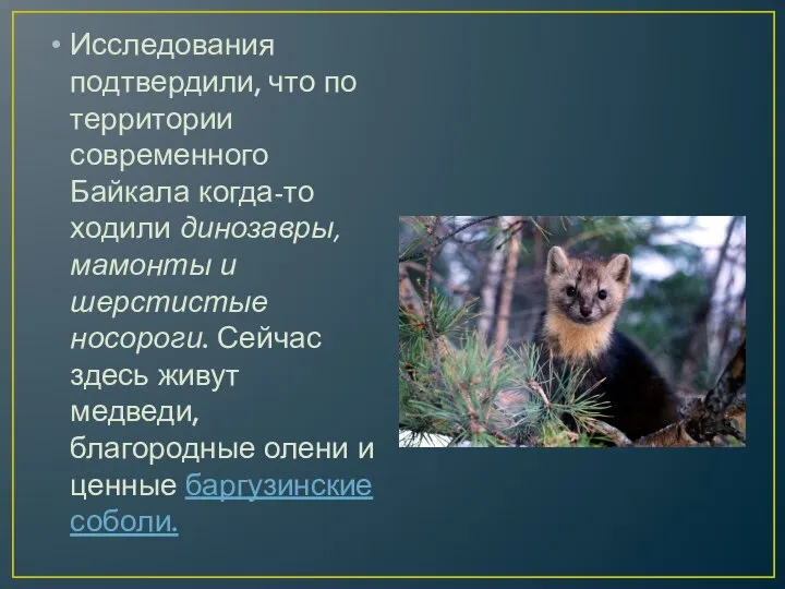 Исследования подтвердили, что по территории современного Байкала когда-то ходили динозавры, мамонты и