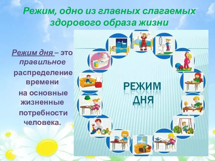 Режим, одно из главных слагаемых здорового образа жизни Режим дня – это