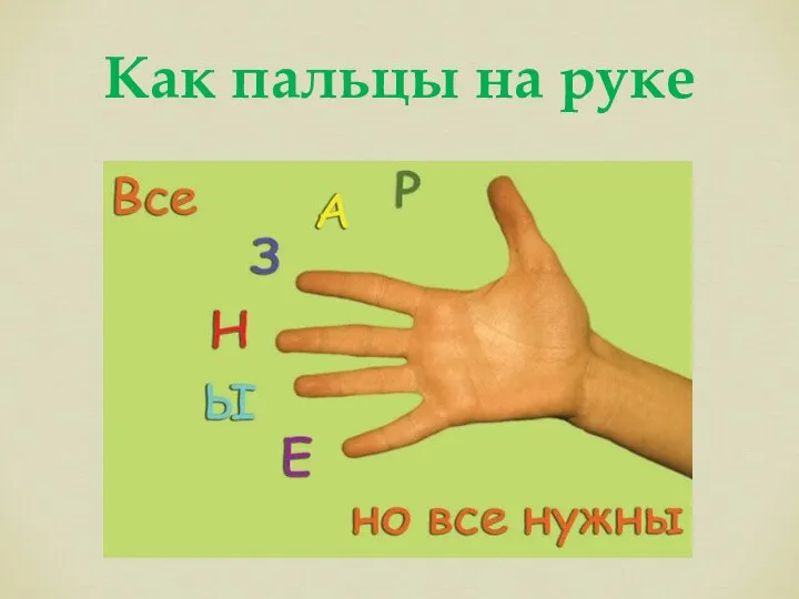 Как пальцы на руке