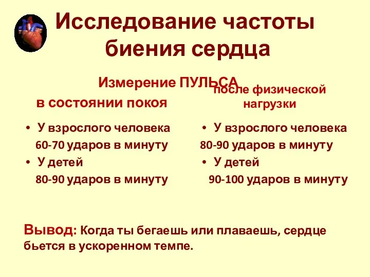 в состоянии покоя У взрослого человека 60-70 ударов в минуту У детей