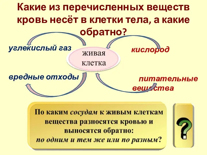 Какие из перечисленных веществ кровь несёт в клетки тела, а какие обратно?