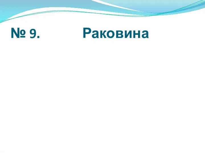 № 9. Раковина