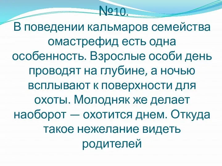 №10. В поведении кальмаров семейства омастрефид есть одна особенность. Взрослые особи день