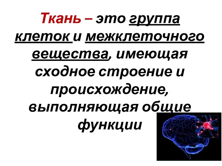 Ткань – это группа клеток и межклеточного вещества, имеющая сходное строение и происхождение, выполняющая общие функции