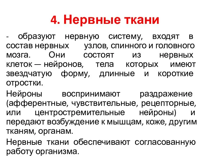 4. Нервные ткани - образуют нервную систему, входят в состав нервных узлов,