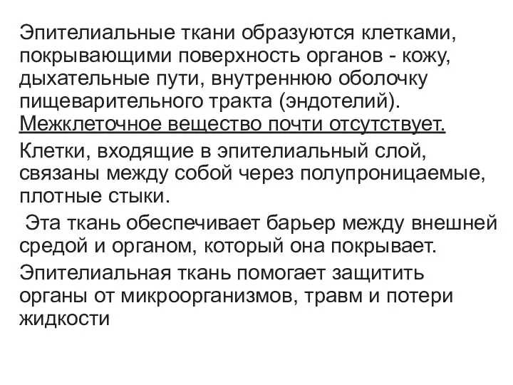 Эпителиальные ткани образуются клетками, покрывающими поверхность органов - кожу, дыхательные пути, внутреннюю