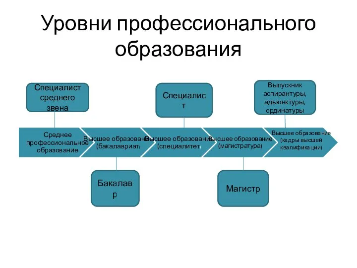 Уровни профессионального образования Специалист среднего звена Специалист Выпускник аспирантуры, адъюнктуры, ординатуры Бакалавр Магистр